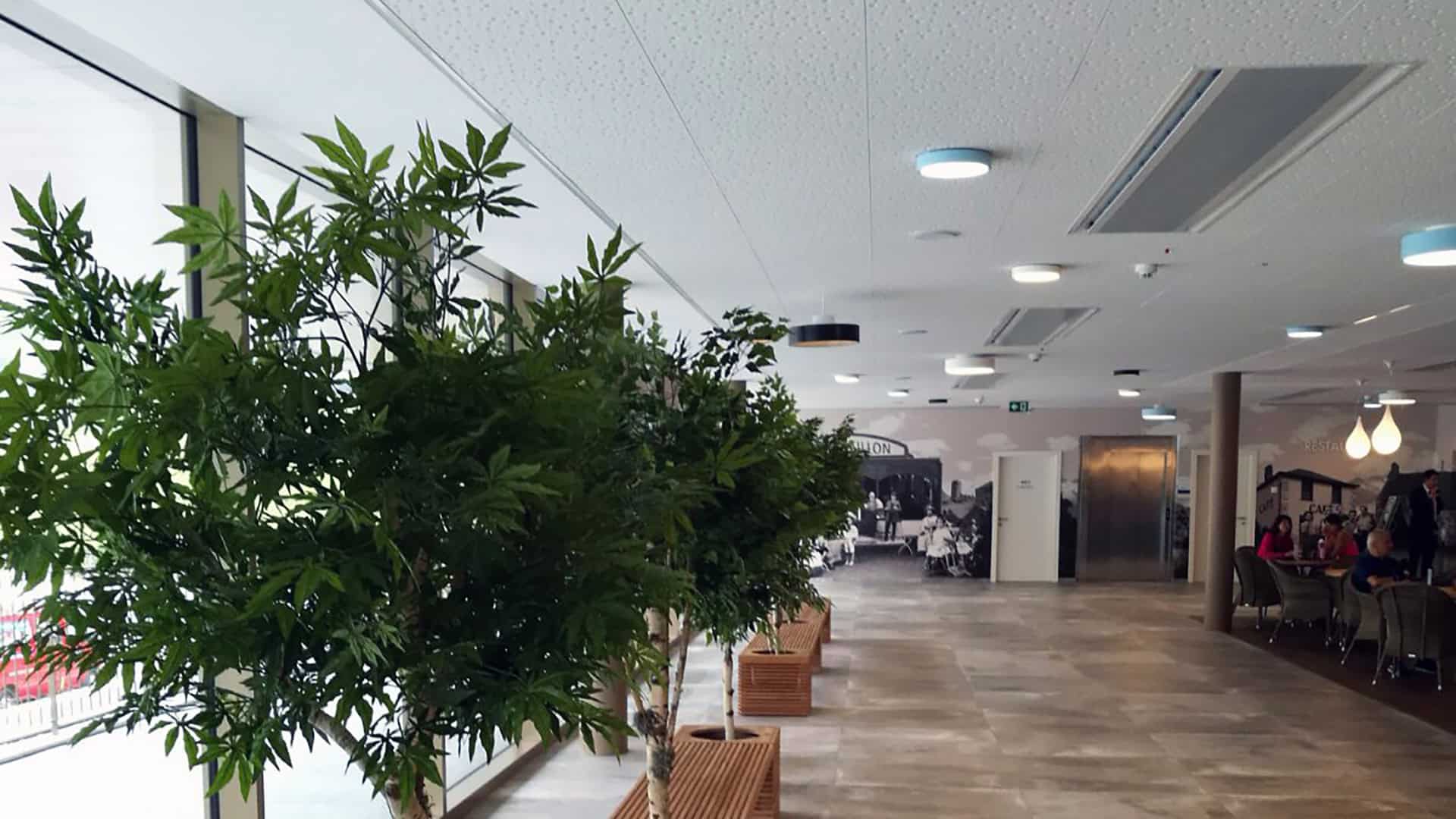 mirealisation-faux-plafond-00035